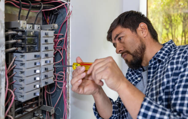 Best Licensed Electrician  in Grant Park, IL